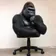CHAIRG