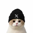 XCAT-Wallet