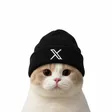 XCAT-Wallet
