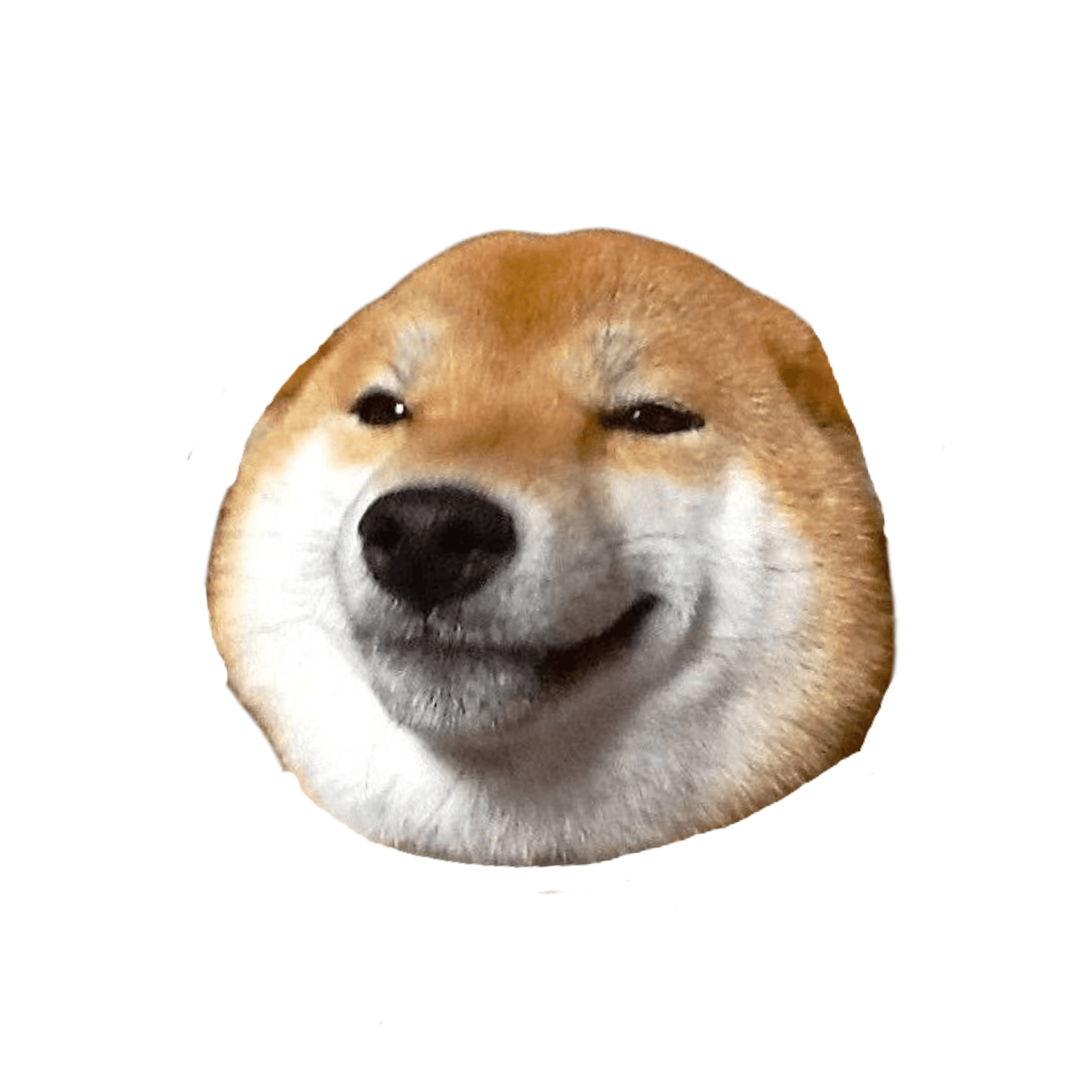 COINU