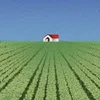 what&amp;amp;amp;amp;amp;amp;amp;amp;amp;amp;#39;s inside that house