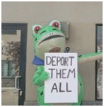 BASEDPEPE