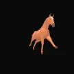 Billetera HORSE