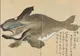 JAPANWHALE