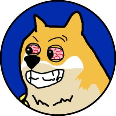 MAXIDOGE token on Solana