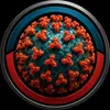 Orthohantavirus
