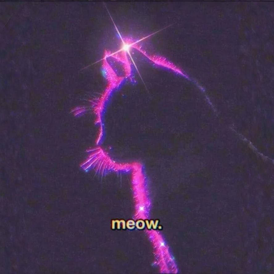 Meow.