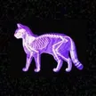 The Kitten Experiment 钱包