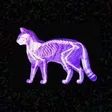The Kitten Experiment 钱包