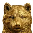 Gold Inu Wallet