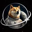 SpaceX Doge Wallet
