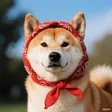 headscarf dog Wallet