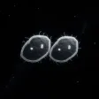 SpaceBalls 钱包