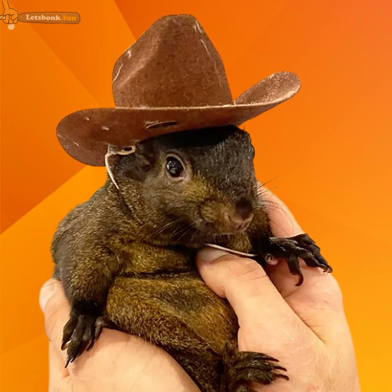 Pnut the Squirrel