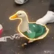 ‌Ví The Patriotic Duck