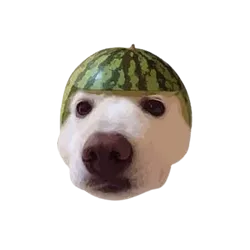 DOGEMELON