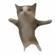 happi cat Wallet
