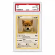 PSA10 INU 钱包
