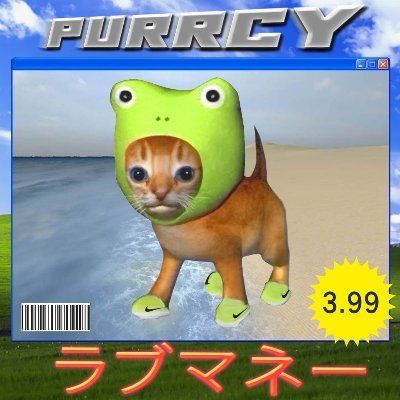 PURRCY