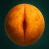 VENUSSY