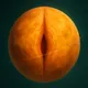 VENUSSY