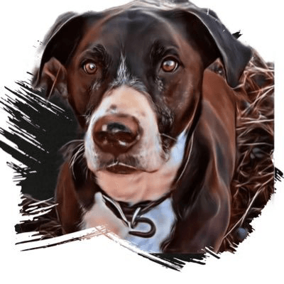 MUDGE