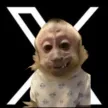 Monedero de 𝕏 Monkey
