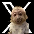 𝕏 Monkey Wallet