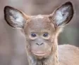 munkey 钱包