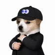 Only Memes Over Finance 钱包