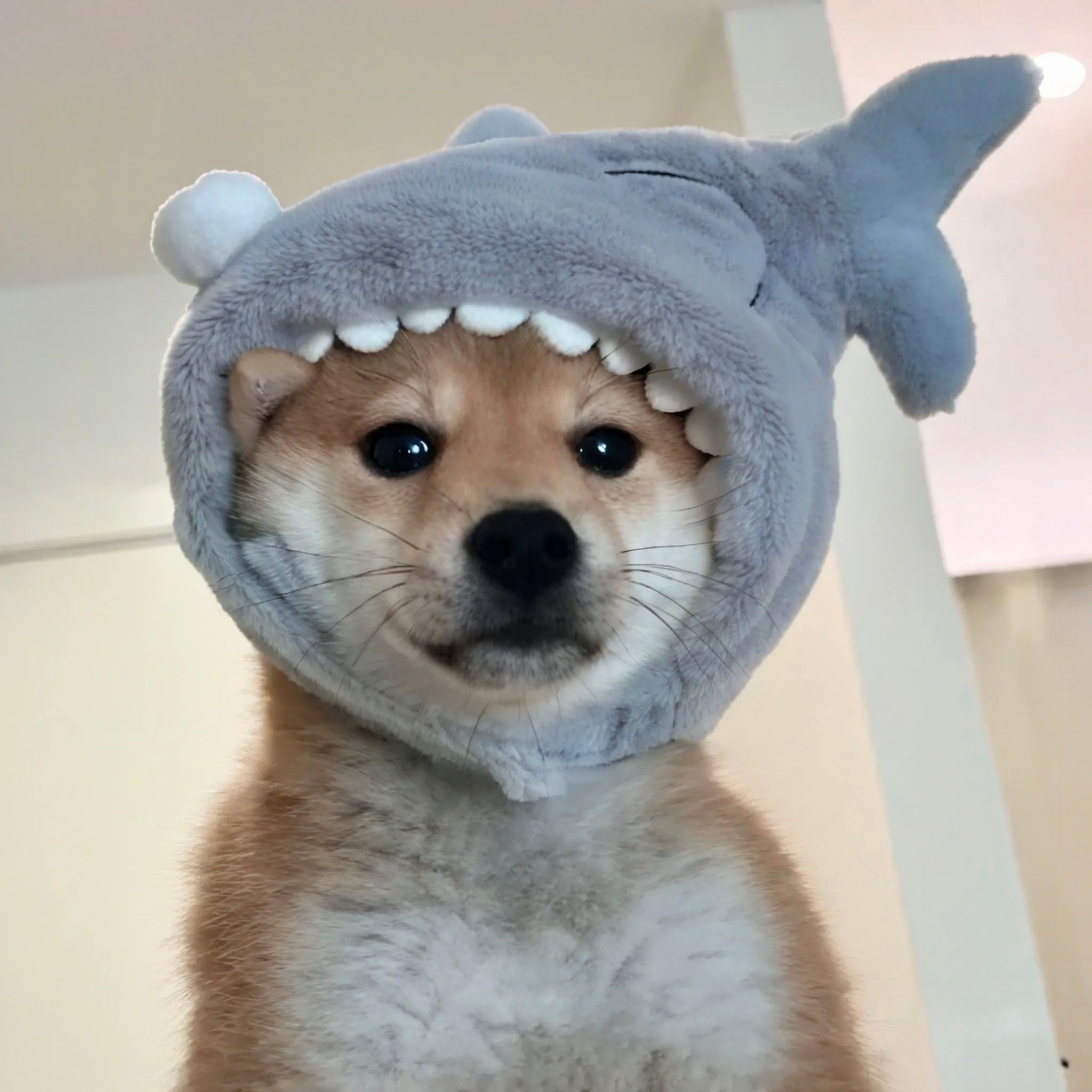 SHARKI