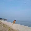 The Philosopher