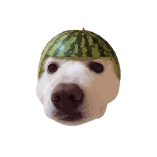 DOGEMELON