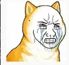Coper Inu