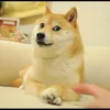 Dogecoin