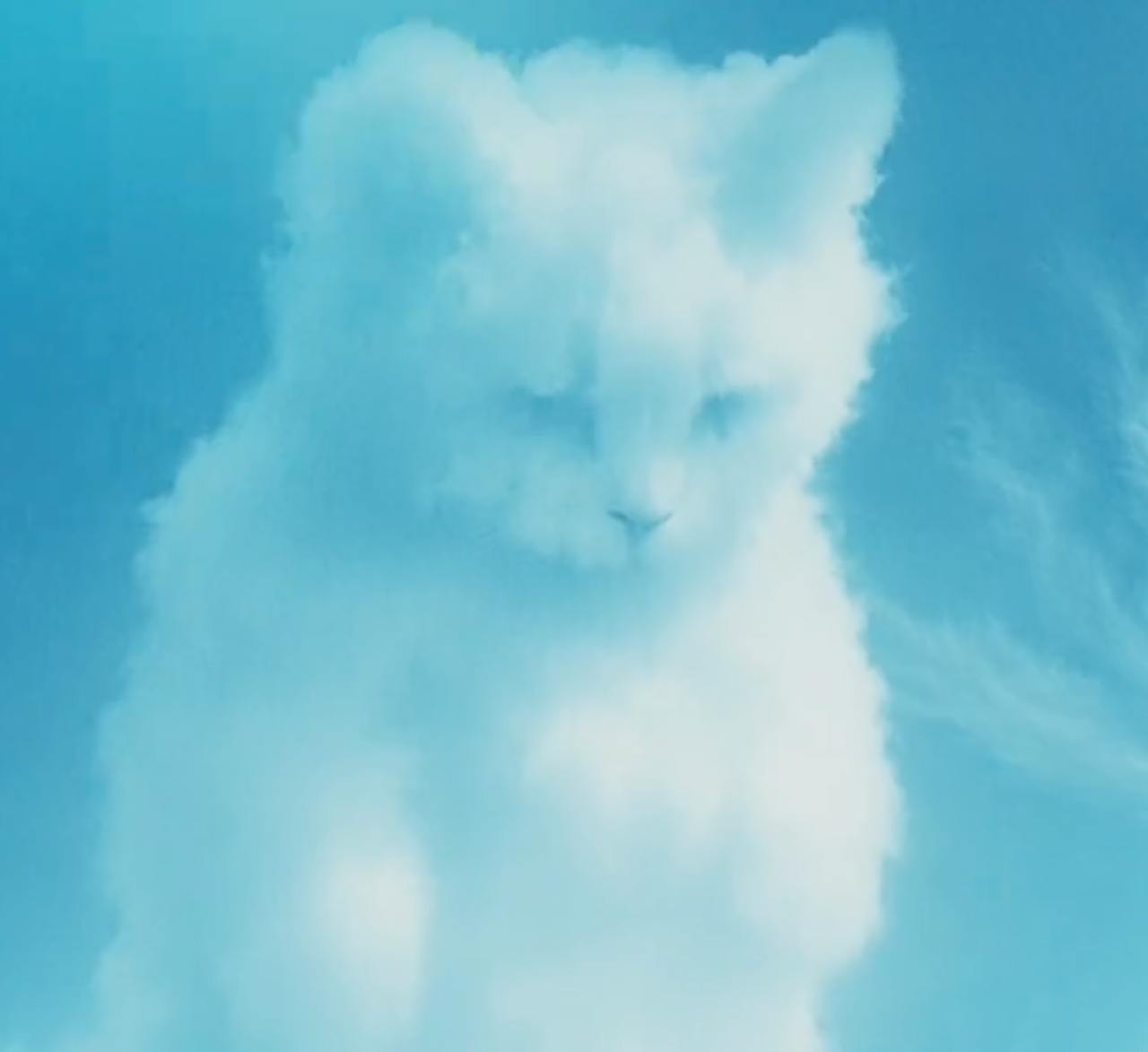 PUMPFUN OFFICIAL CAT