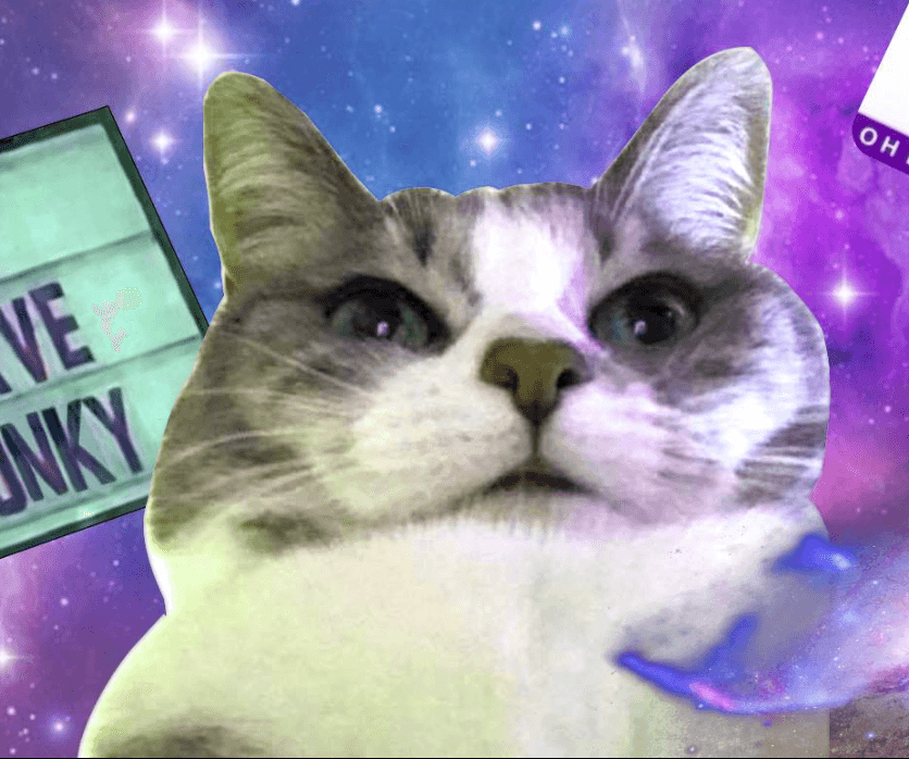 CHONKY