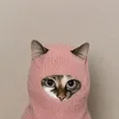 Robbing Hood Cat Wallet