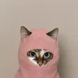 Robbing Hood Cat Wallet