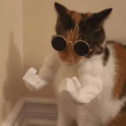 MEOWSCLES