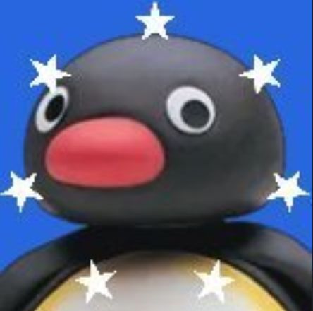 PINGU