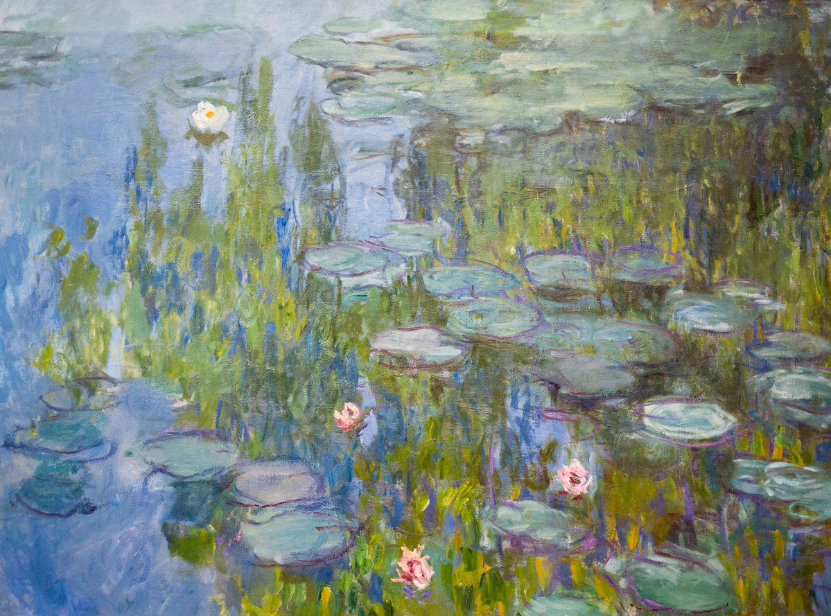 MONET