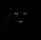 VOID