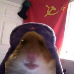 ЦАРЬ