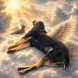 Justice for Laika-Wallet