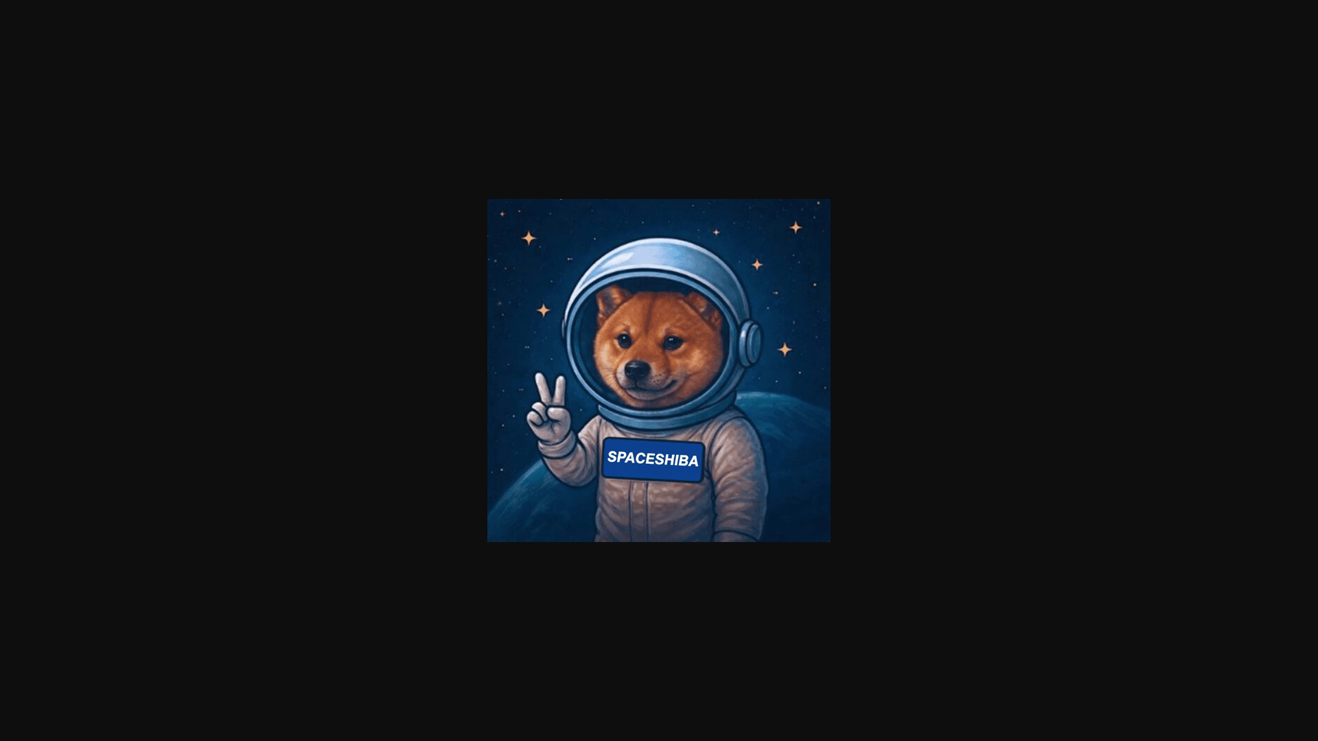 SPACESHIBA