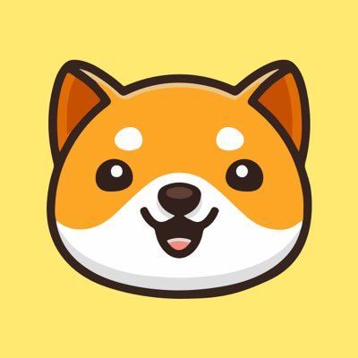 BabyDoge token on Solana