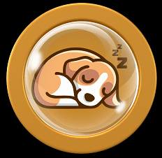 lazy token
