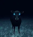 Electric Sheep Wallet