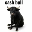 Cash Bull Wallet